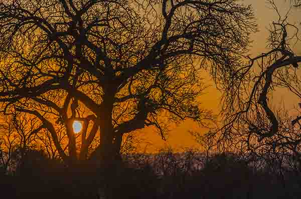 93 - Sudafrica - reserva Sabi Sands - amanecer